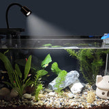 Maxbell LED Aquarium Light Seaweed Fish Tank for Miniature Landscape Household Desktop