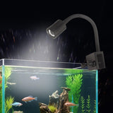 Maxbell LED Aquarium Light Seaweed Fish Tank for Miniature Landscape Household Desktop