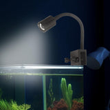 Maxbell LED Aquarium Light Seaweed Fish Tank for Miniature Landscape Household Desktop