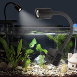 Maxbell LED Aquarium Light Seaweed Fish Tank for Miniature Landscape Household Desktop