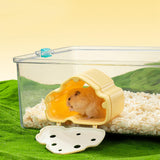Maxbell Hamster Hideout Cage Habitat Decor Funny Shelter for Pet Gifts Lemmings Rats