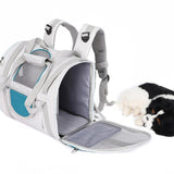 Maxbell Cat Carrier Backpack Breathable Travel Dogs Bag for Walking Camping Traveling green