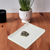 Maxbell Reptile Water Bowl Decorative Reptile Feeder for Frog Bearded Dragon Hamster M white