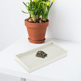 Maxbell Reptile Water Bowl Decorative Reptile Feeder for Frog Bearded Dragon Hamster S white