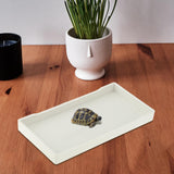 Maxbell Reptile Water Bowl Decorative Reptile Feeder for Frog Bearded Dragon Hamster S white