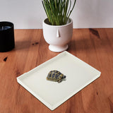 Maxbell Reptile Water Bowl Decorative Reptile Feeder for Frog Bearded Dragon Hamster L white