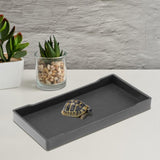 Maxbell Reptile Water Bowl Decorative Reptile Feeder for Frog Bearded Dragon Hamster S black