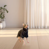 Maxbell Hairless Cat Pullover Sweater Fleece Warm Sweater for Cat Costume Daily Wear Gray