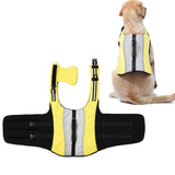 Maxbell Dog Jacket Puppy Swimming Vest for Small and Medium Dogs Beach Swimming S