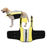 Maxbell Dog Jacket Puppy Swimming Vest for Small and Medium Dogs Beach Swimming S