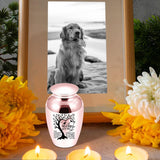 Maxbell Pet Urn Mini Urn Funeral Kitten Decorative Urn Cats Dogs Memorial Ash Holder Rose Golden