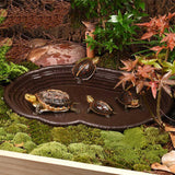 Maxbell Reptile Water Dish Turtle Water Dish for Bearded Dragons Turtle Semi Aquatic No drainage