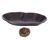 Maxbell Reptile Water Dish Turtle Water Dish for Bearded Dragons Turtle Semi Aquatic No drainage