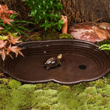 Maxbell Reptile Water Dish Turtle Water Dish for Bearded Dragons Turtle Semi Aquatic with  drainage