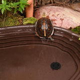 Maxbell Reptile Water Dish Turtle Water Dish for Bearded Dragons Turtle Semi Aquatic with  drainage