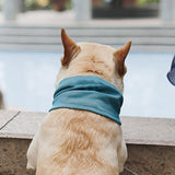 Maxbell Dog Cooling Bandana Instant Chill Out Neck Wrap for Traveling Fishing Hiking S