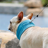 Maxbell Dog Cooling Bandana Instant Chill Out Neck Wrap for Traveling Fishing Hiking M
