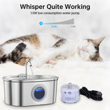 Maxbell Stainless Steel Cats Pet Water Fountain 108 oz Cat Waterer for Dogs Pet Cats With Viewing Window
