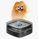 Maxbell Pet Cat Water Fountain Easy to Clean Dog Water Dispenser for Indoor Cats Pet 5.5L