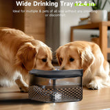 Maxbell Pet Cat Water Fountain Easy to Clean Dog Water Dispenser for Indoor Cats Pet 9L