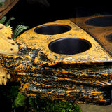 Maxbell Reptile Magnetic Feeder Ledge Reptile Food Dish for Animals Lizard Reptisoil Single Bowl