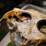 Maxbell Reptile Magnetic Feeder Ledge Reptile Food Dish for Animals Lizard Reptisoil Single Bowl