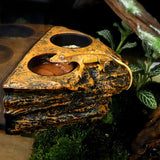 Maxbell Reptile Magnetic Feeder Ledge Reptile Food Dish for Animals Lizard Reptisoil Single Bowl