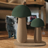 Maxbell Cat Scratch Post Scratching Board for Indoor Cat Cat Climbing for Kitten Cat