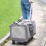 Maxbell Pet Carrier with Wheels Portable Foldable Pet Travel Bag for Puppy Cats Dogs Black