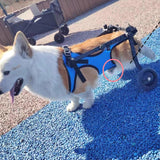 Maxbell Dog Wheelchair for Back Legs Metal Dog Wheelchair Cart for Small Pets (Blue) M