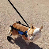 Maxbell Dog Wheelchair for Back Legs Metal Dog Wheelchair Cart for Small Pets (Blue) M