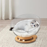 Space Capsule Cat Bed Stable Four Seasons Pet Supplies for Cats Kitty Kitten bear with pad