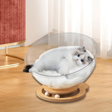 Space Capsule Cat Bed Stable Four Seasons Pet Supplies for Cats Kitty Kitten bear with pad