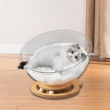 Space Capsule Cat Bed Stable Four Seasons Pet Supplies for Cats Kitty Kitten bear with pad