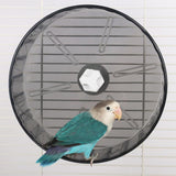 Maxbell Hamster Wheel Quiet Interactive Jogging Wheel for Small Animal Hedgehogs Rat Gray