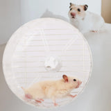 Maxbell Hamster Wheel Quiet Interactive Jogging Wheel for Small Animal Hedgehogs Rat Clear