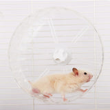 Maxbell Hamster Wheel Quiet Interactive Jogging Wheel for Small Animal Hedgehogs Rat Clear