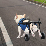 Maxbell Dog Wheelchair for Back Legs Sturdy for Disabled Dog Disabled Dog Wheelchair M