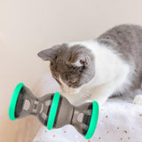 Maxbell Dog Food Dispenser Puzzle Toy Rolling Pet Toy for IQ Stimulation IQ Training Green