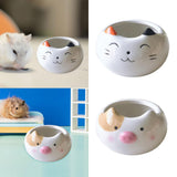 Maxbell Hamster Food Bowl Ceramic Small Pet Feeding Dish for Gerbil Ferret Squirrels cat