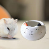 Maxbell Hamster Food Bowl Ceramic Small Pet Feeding Dish for Gerbil Ferret Squirrels cat