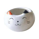 Maxbell Hamster Food Bowl Ceramic Small Pet Feeding Dish for Gerbil Ferret Squirrels cat