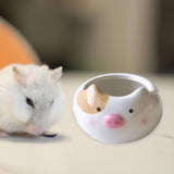 Maxbell Hamster Food Bowl Ceramic Small Pet Feeding Dish for Gerbil Ferret Squirrels pig