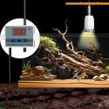 Maxbell Reptile Heating Lamp Stand Sturdy Light Fixture for Chicks Bearded Reptile Tank