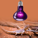 Maxbell Simulated Moonlight Heat Lamp Heat Lamp Bulb for Amphibian Reptile Chameleon 100W