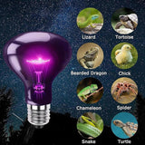 Maxbell Basking Spot Light Bulb Reptile Night Light Bulb for Reptile Amphibian Snake 75W