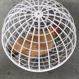 Rolling Chicken Coop Ventilation Ball Shape for Geese Chicks Backyard 20cm