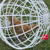 Rolling Chicken Coop Ventilation Ball Shape for Geese Chicks Backyard 20cm