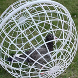 Rolling Chicken Coop Ventilation Ball Shape for Geese Chicks Backyard 20cm