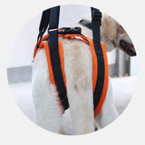 Dog Lift Harness Leg Support Old, Disabled Dogs Hiking with Handle Dog Sling S
